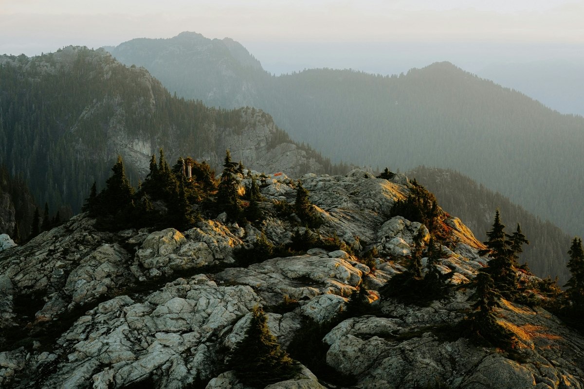편안한 저녁 시간