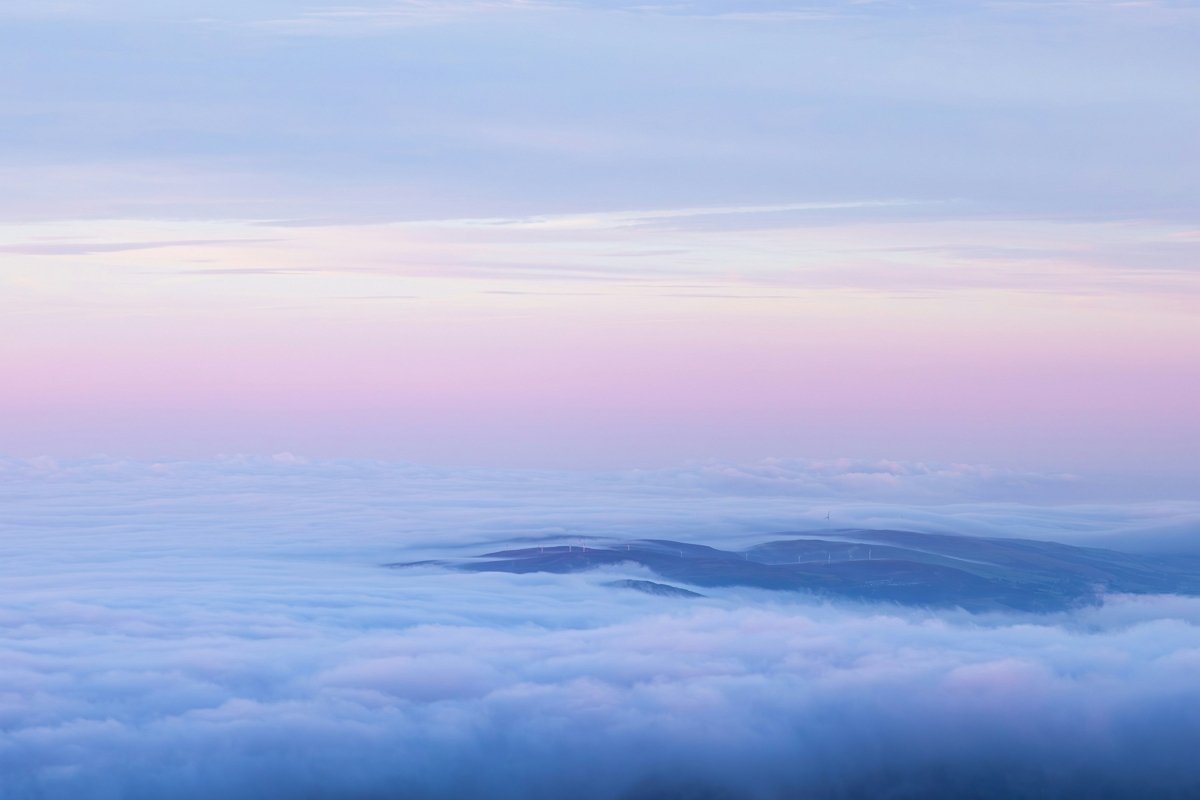 햇살 아래에서의 휴식