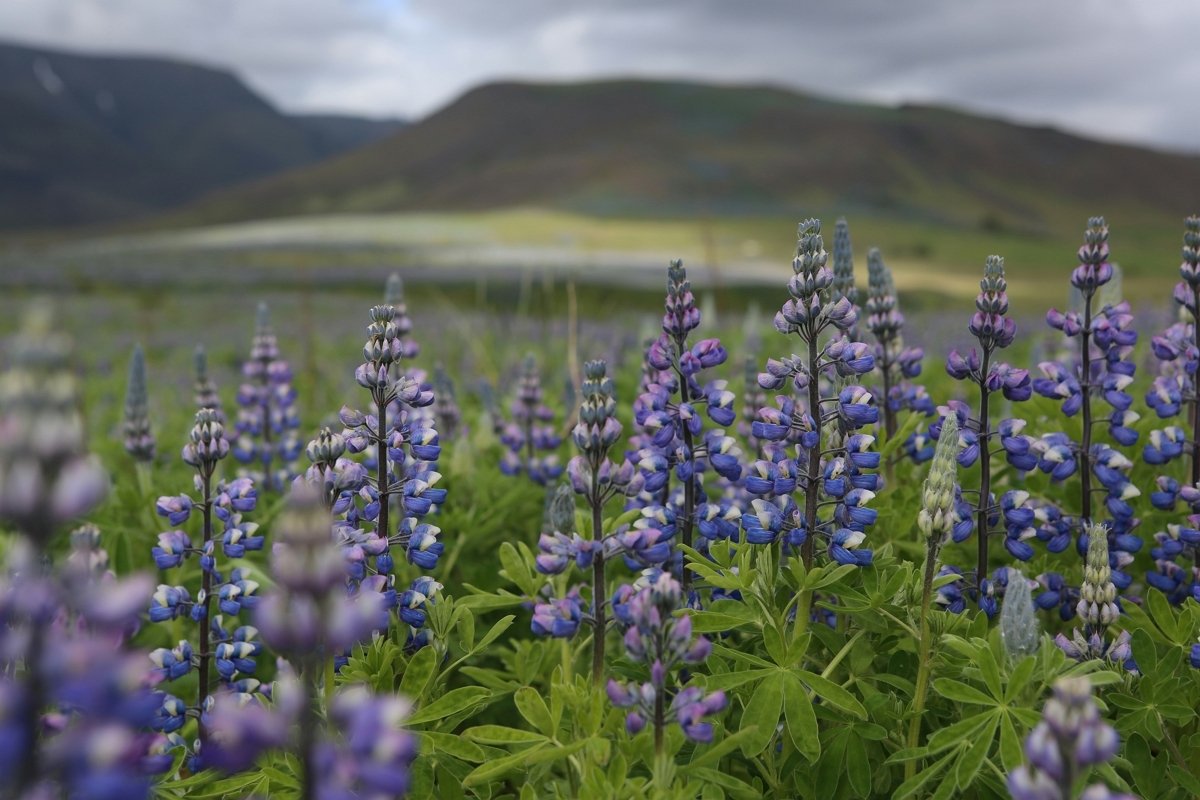 햇살 가득한 하루