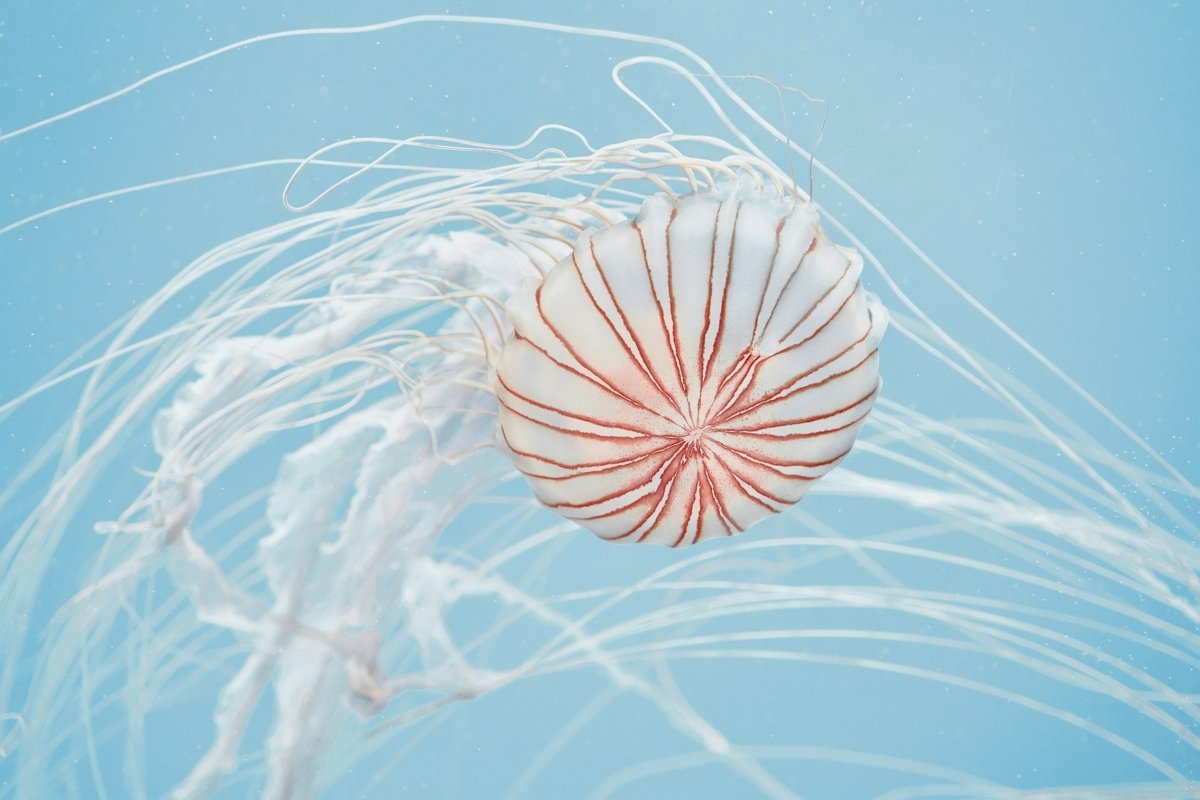 편안한 커피 타임